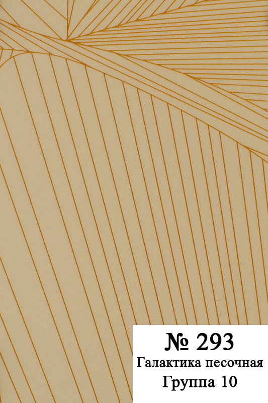 #293